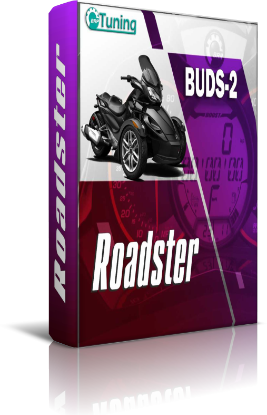 Picture of Roadster BUDS2